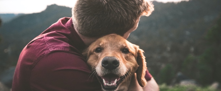 Humano abrazando perro