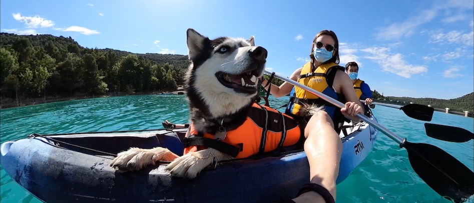 Perro sonriendo en la parte delantera del kayak, mientras navegan