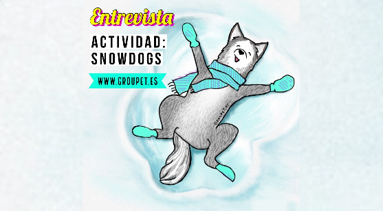 Actividad con perro en la nieve